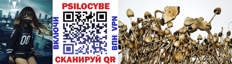 Галлюциногенные грибы Psilocybine cubensis  Купить  Обоянь 